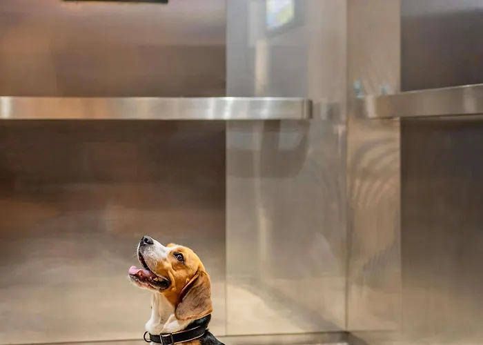 Ibis Centrum Hotell Kraków