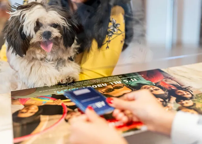 Ibis Centrum 3* Cracovia