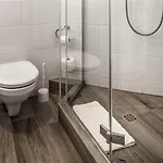 Ibis Centrum 3*